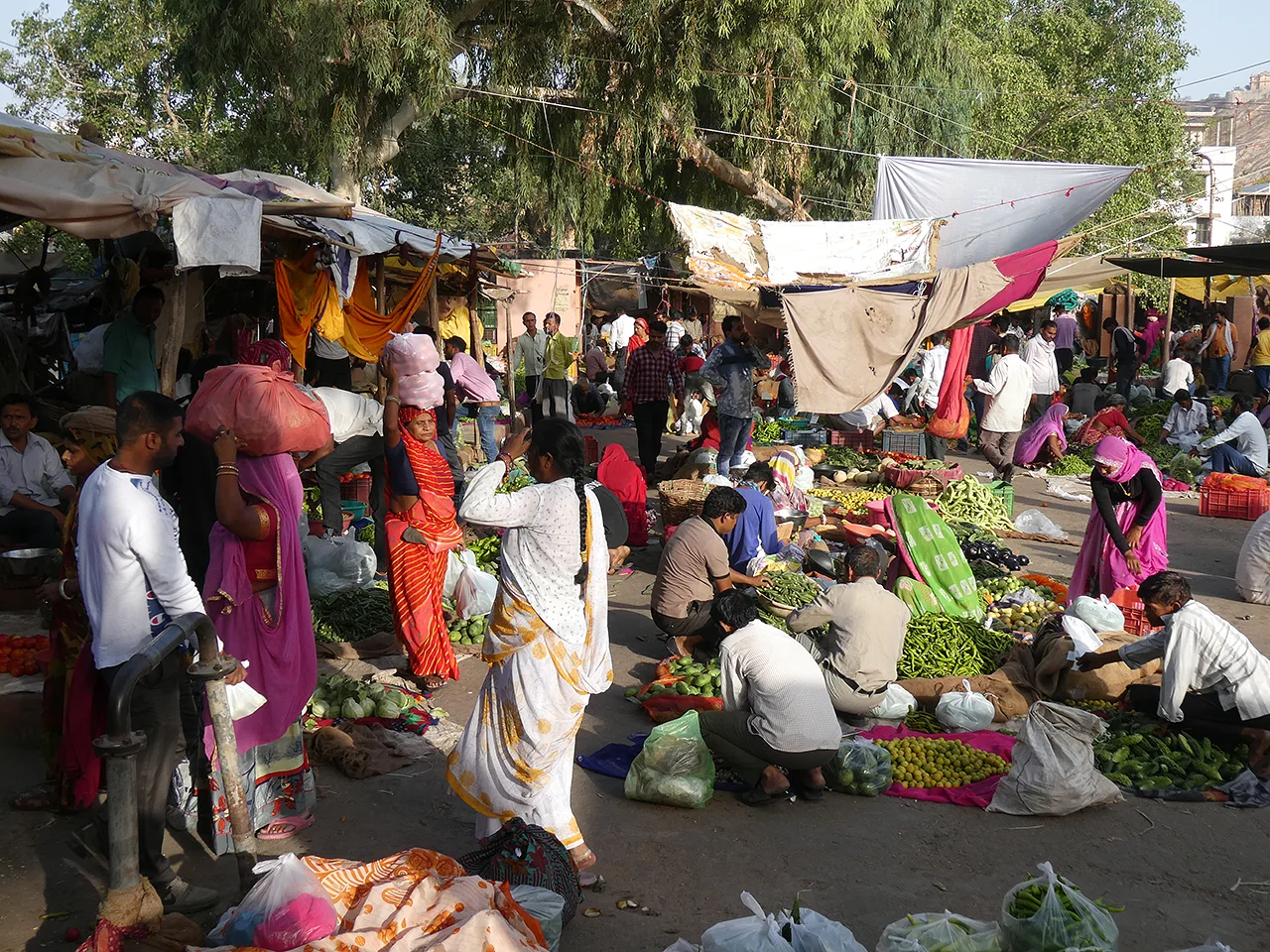 Scene of Jaipur Vegetable Market