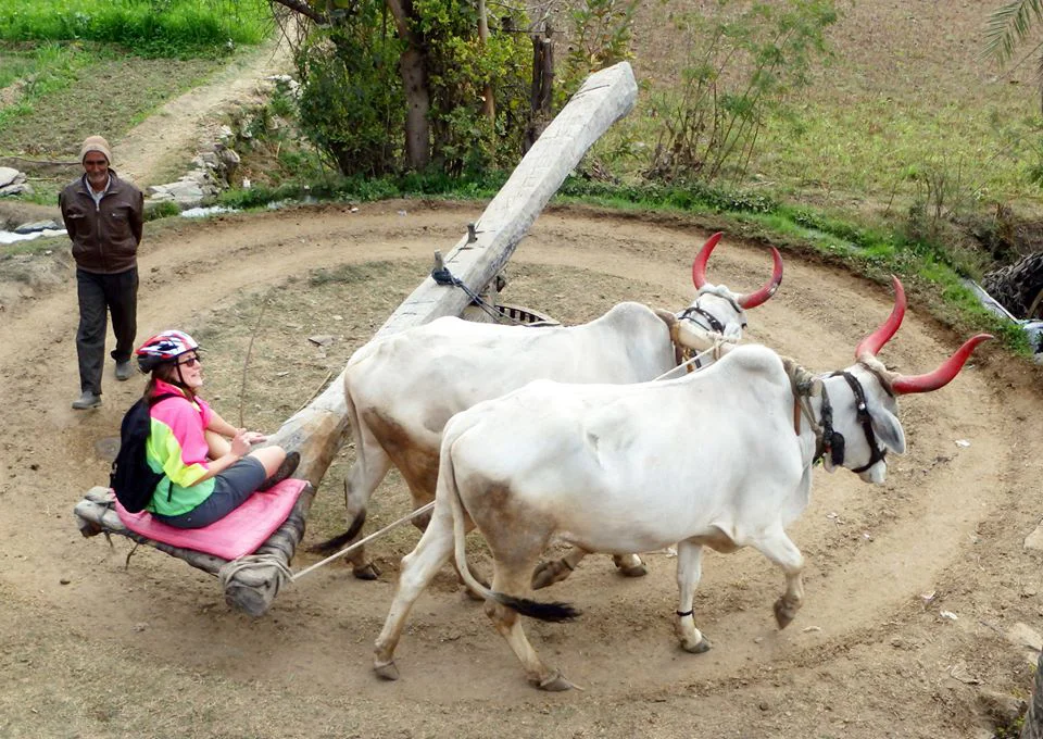 Jaipur Short Excursions